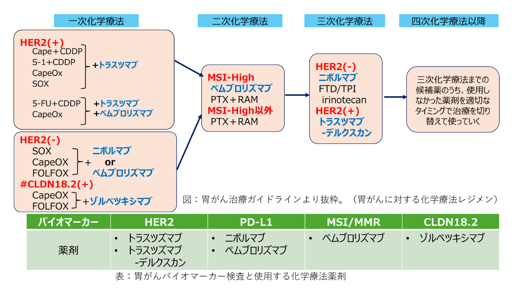 胃がんバイオマーカー検査と使用する化学療法薬剤
